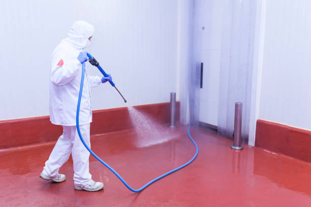 Best Vinyl Siding Pressure Washing in Lake Sconsin, WI